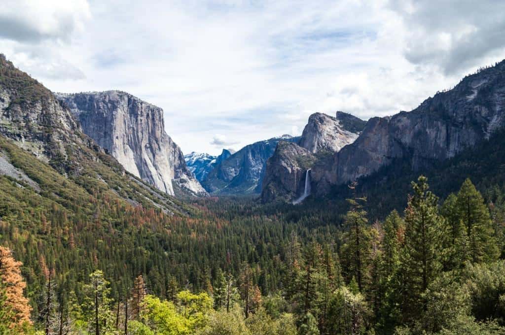 Yosemite National Park First Visit Guide
