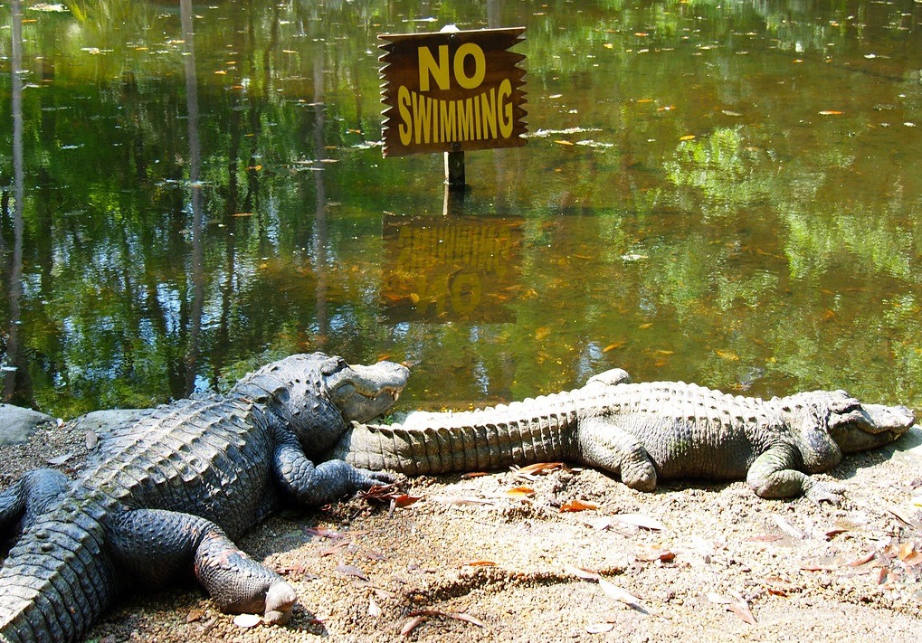 Florida