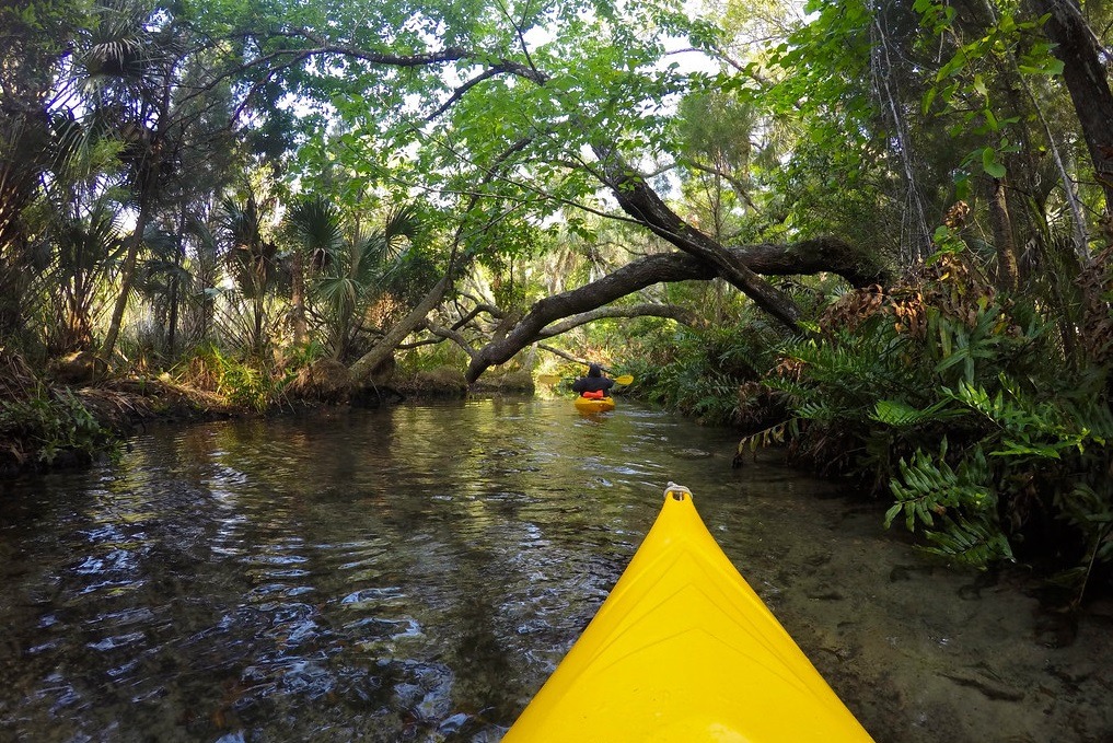 Kayaking the Chazz